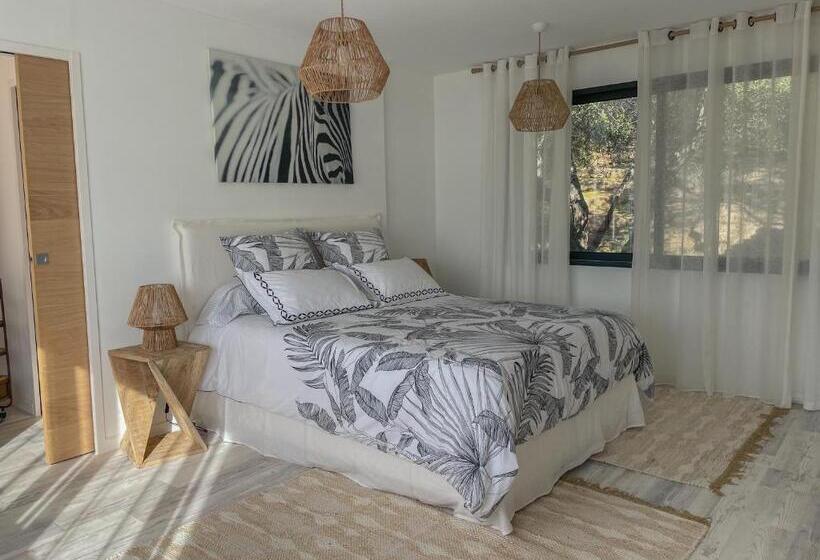 بنسيون Chambre D Hôtes A Vadina Porticcio