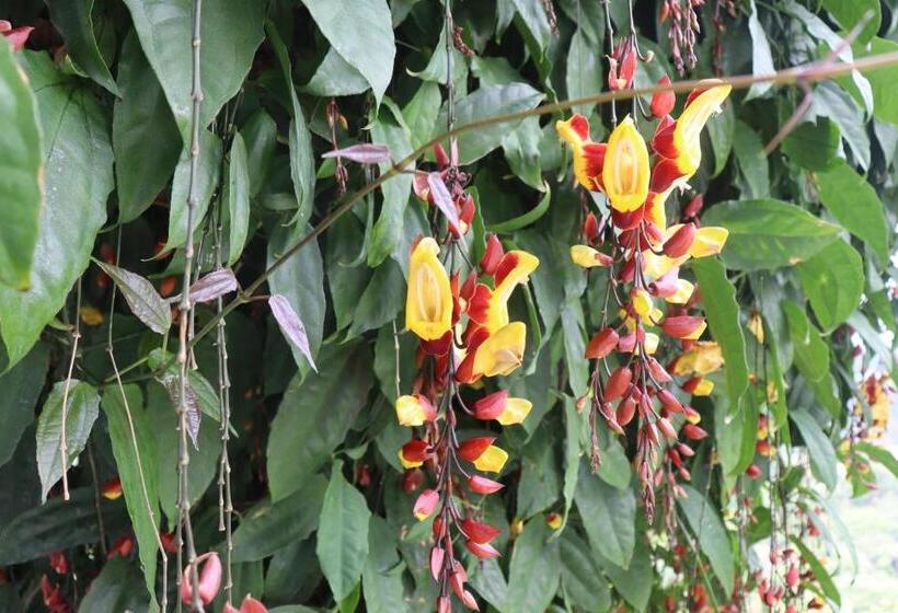 Pleasant Hill Resort