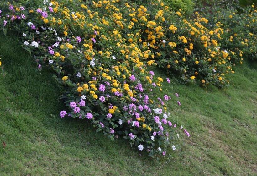 Pleasant Hill Resort