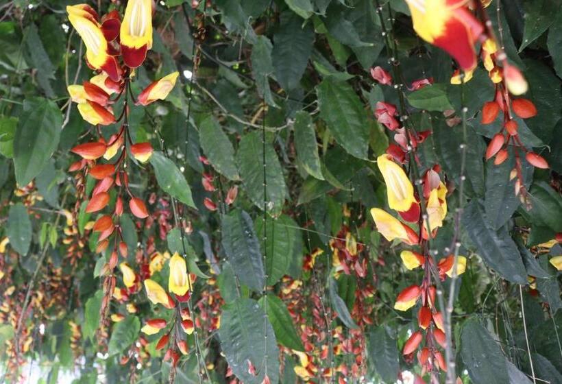 Pleasant Hill Resort