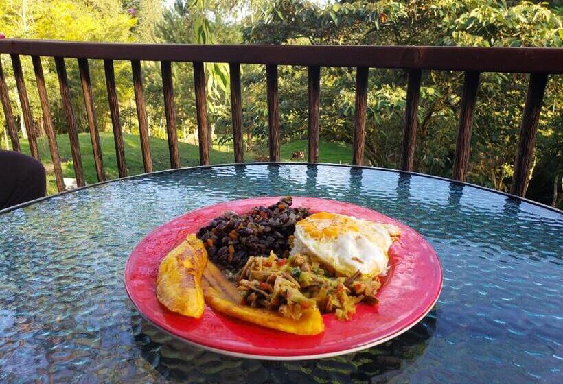 Курорт La Zenerchi