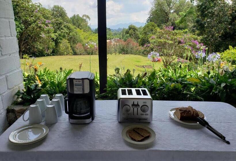 Курорт La Zenerchi