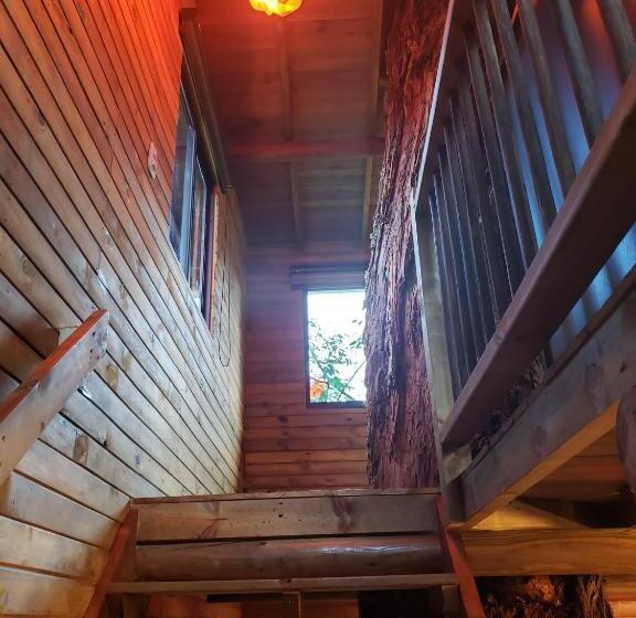 Курорт La Zenerchi