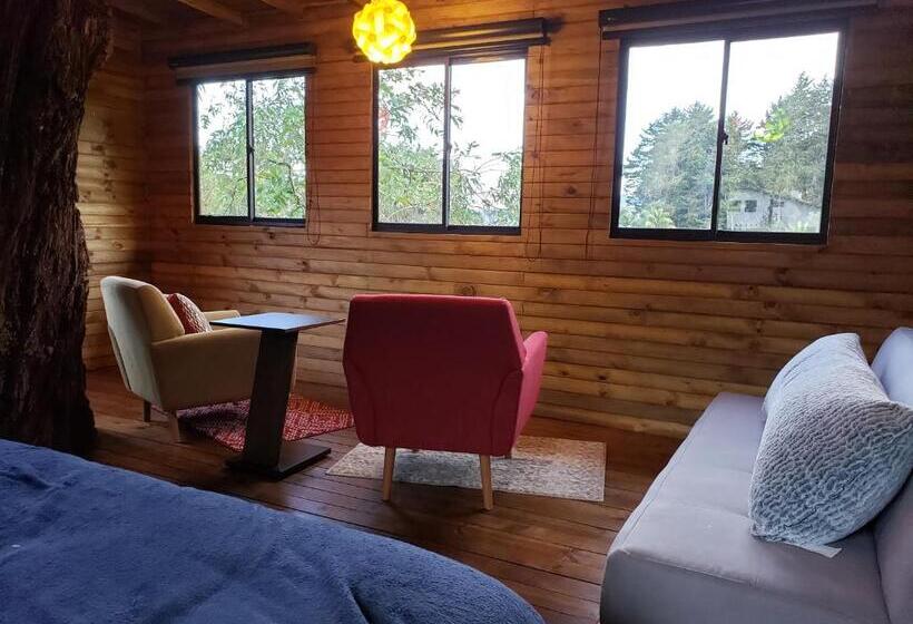 Курорт La Zenerchi