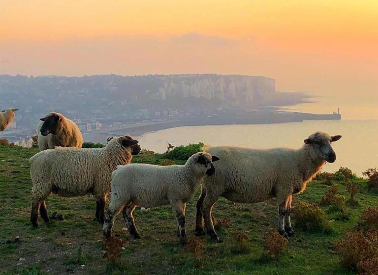 مبيت وإفطار Brise Du Large   Maison D Ault