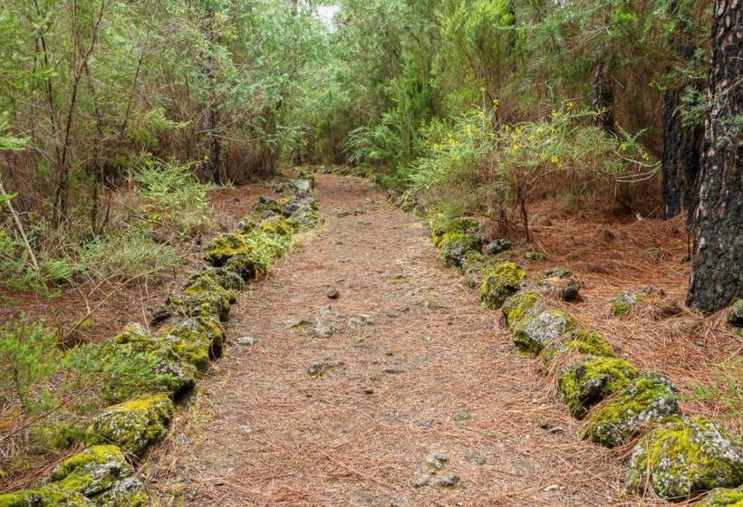 Albergue San Jose De Los Llanos