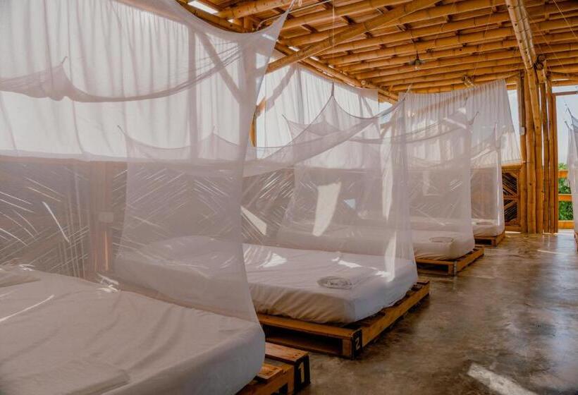 בית מלון כפרי Niuwi Hostel