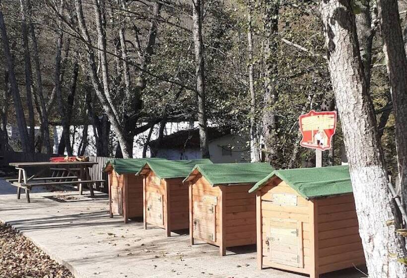 Hotel Butterfly Butik