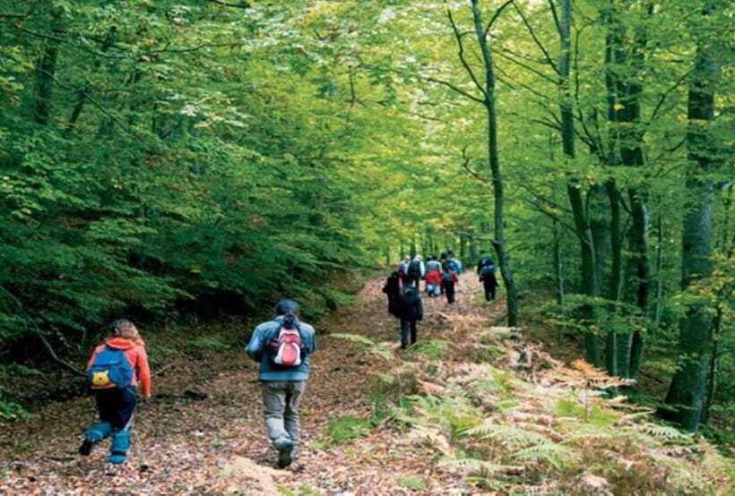 Hotel Butterfly Butik