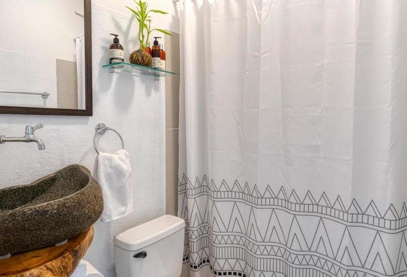 Tribe Boutique Hotel   Adults Only