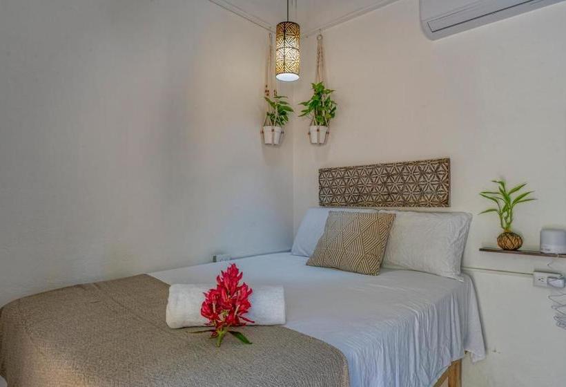 Tribe Boutique Hotel   Adults Only