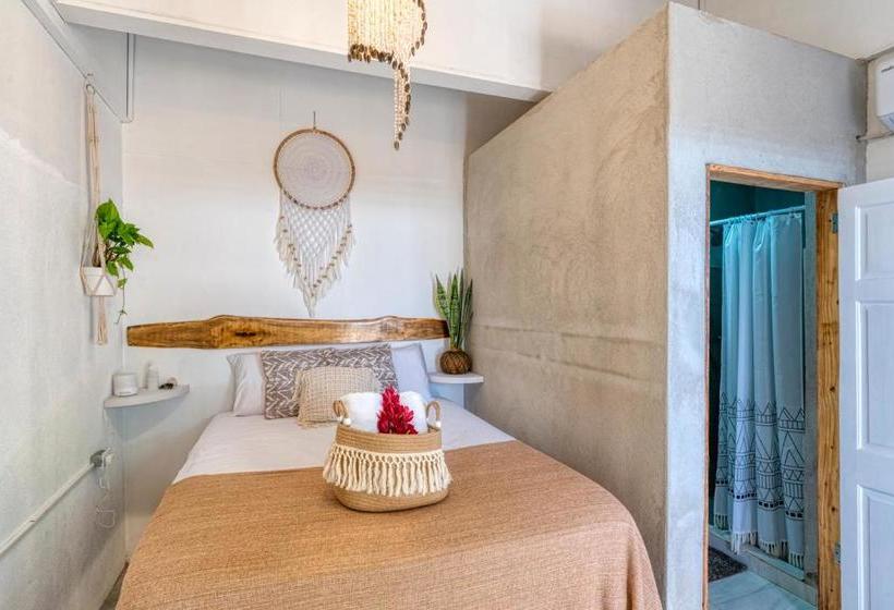 Tribe Boutique Hotel   Adults Only