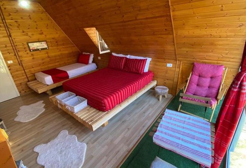 Bed and Breakfast Bujtina Miqesia