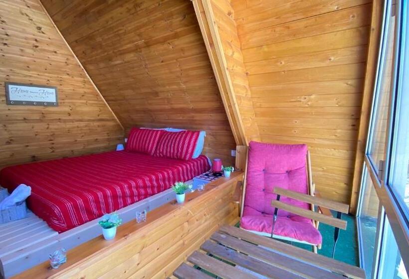 Bed and Breakfast Bujtina Miqesia