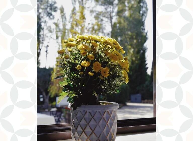 مبيت وإفطار Casale Rurale