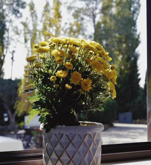 مبيت وإفطار Casale Rurale