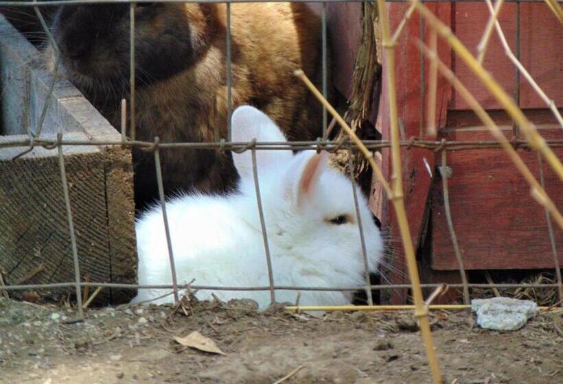 مبيت وإفطار Casale Rurale