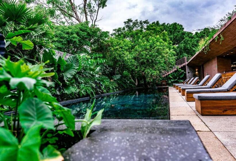 ホテル Casa De Agua