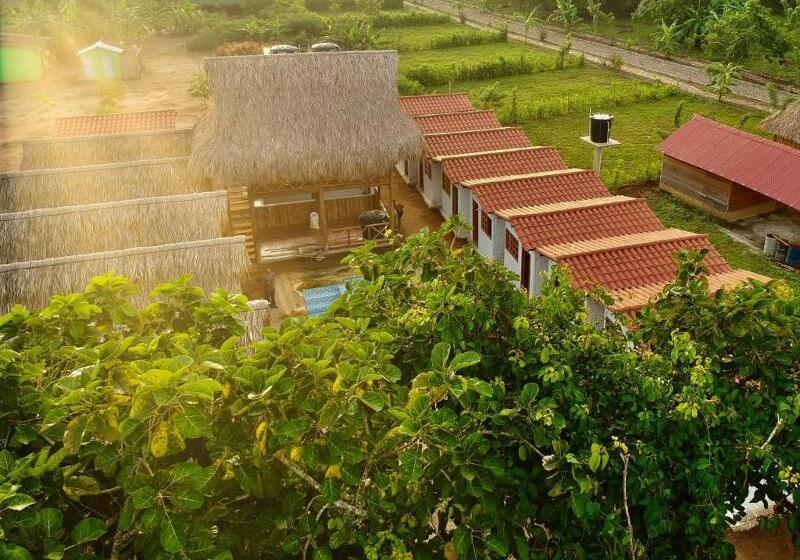 酒店 Palomino Sunrise