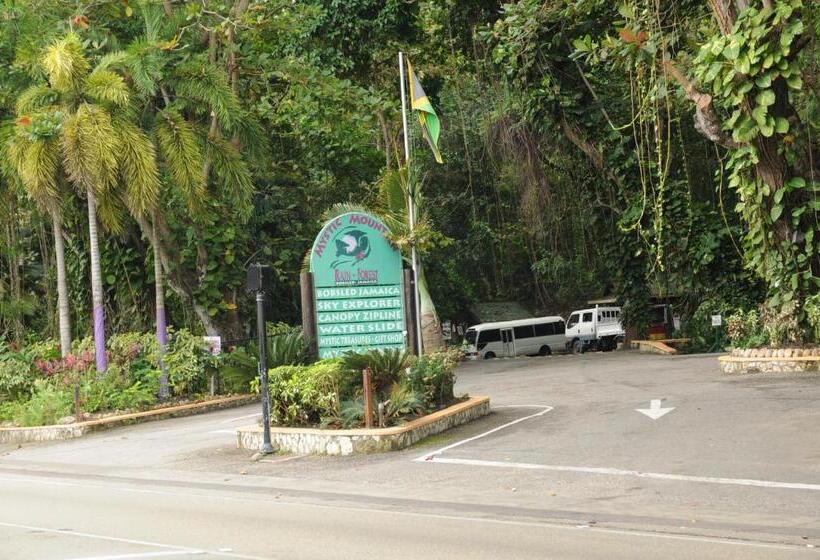 پانسیون Aileen Palm Cove Ja