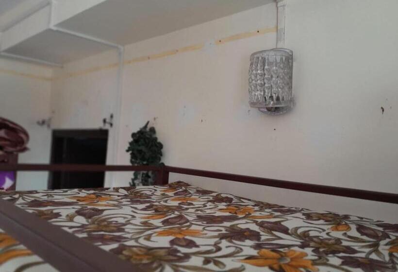 Hostel Backpackers Hub