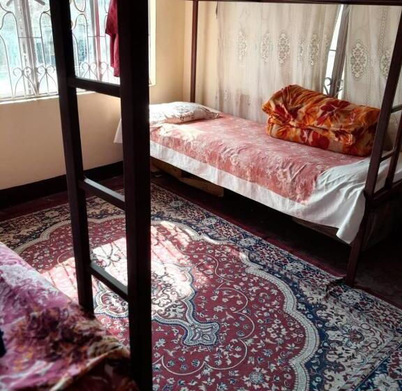 Hostel Backpackers Hub