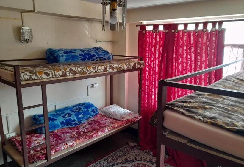 Hostel Backpackers Hub