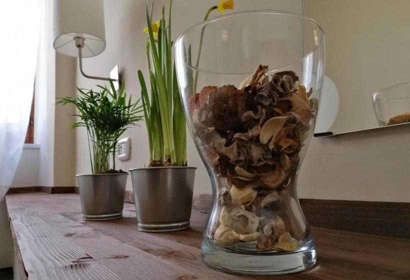 B&b Agorà Di Paestum