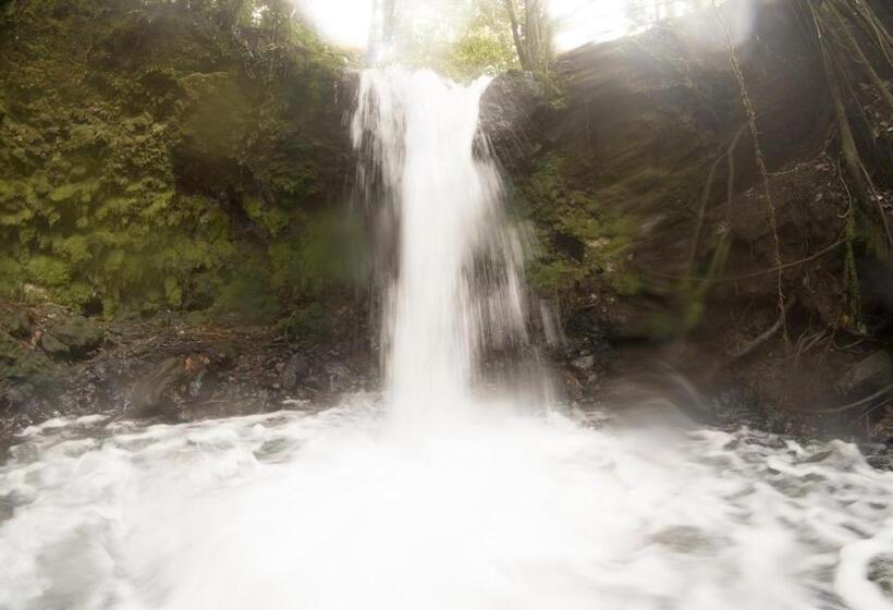 مبيت وإفطار Oski Lodge, Rain Forest Rincón De La Vieja