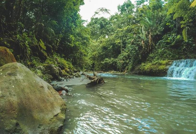 مبيت وإفطار Oski Lodge, Rain Forest Rincón De La Vieja