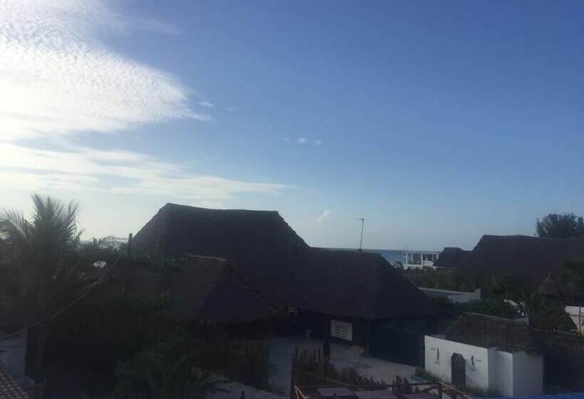 住宿加早餐 Tropicana Kendwa Beach