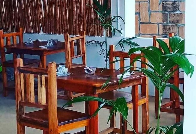 住宿加早餐 Tropicana Kendwa Beach