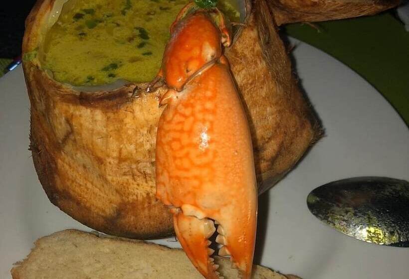 住宿加早餐 Tropicana Kendwa Beach