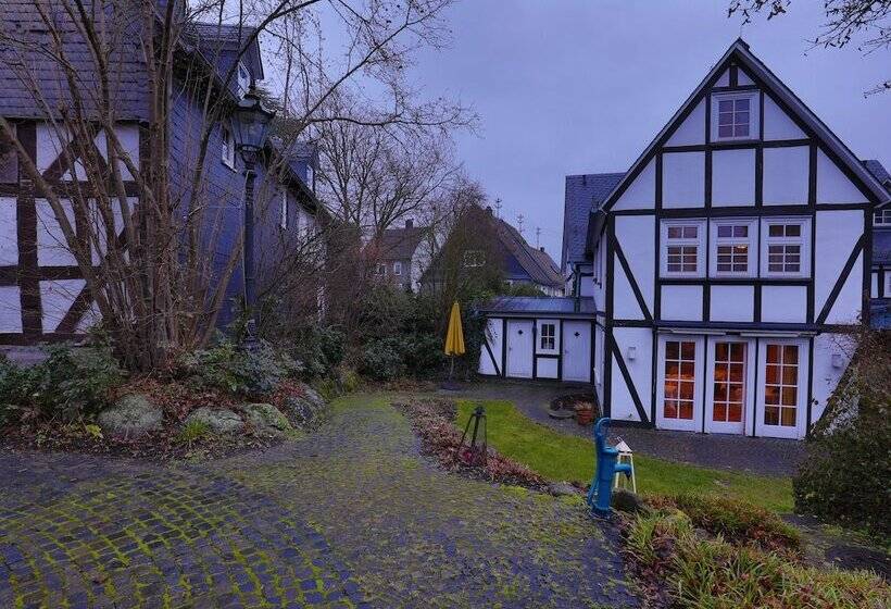 هتل Fiester Hannes