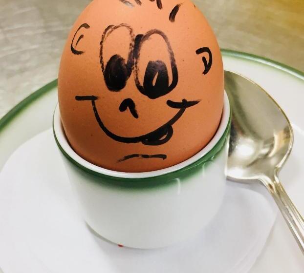 فندق Gasthof Zacherlbräu