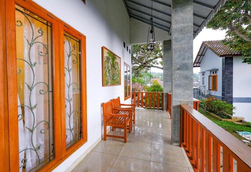 בית מלון כפרי Guest House Gethsemane