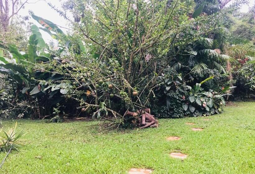 酒店 Kaliawiri Bird Lodge & Reserve