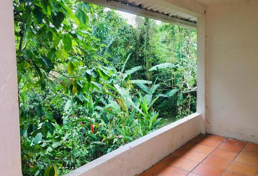 酒店 Kaliawiri Bird Lodge & Reserve