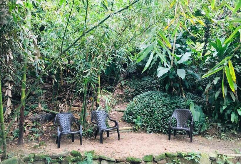 酒店 Kaliawiri Bird Lodge & Reserve