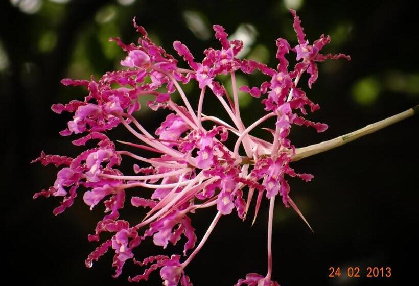 酒店 Kaliawiri Bird Lodge & Reserve