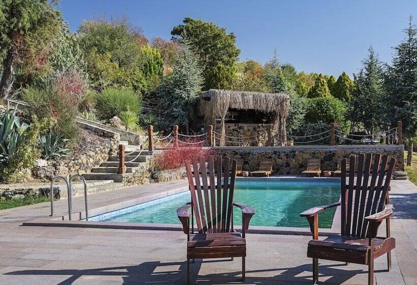 בית מלון כפרי Simurg Inn