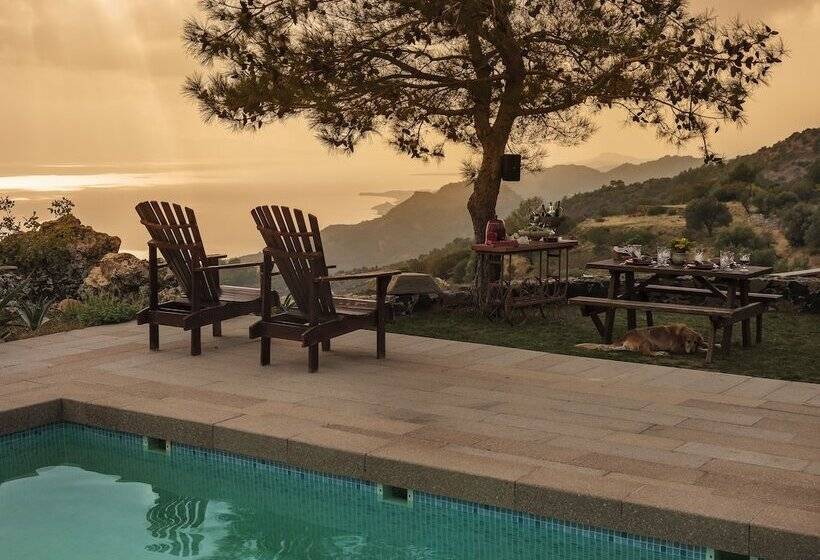 בית מלון כפרי Simurg Inn