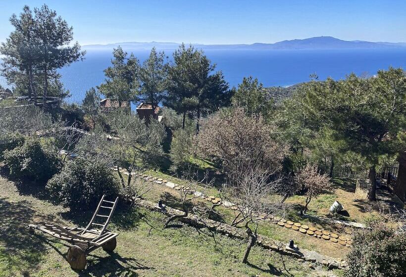 בית מלון כפרי Simurg Inn