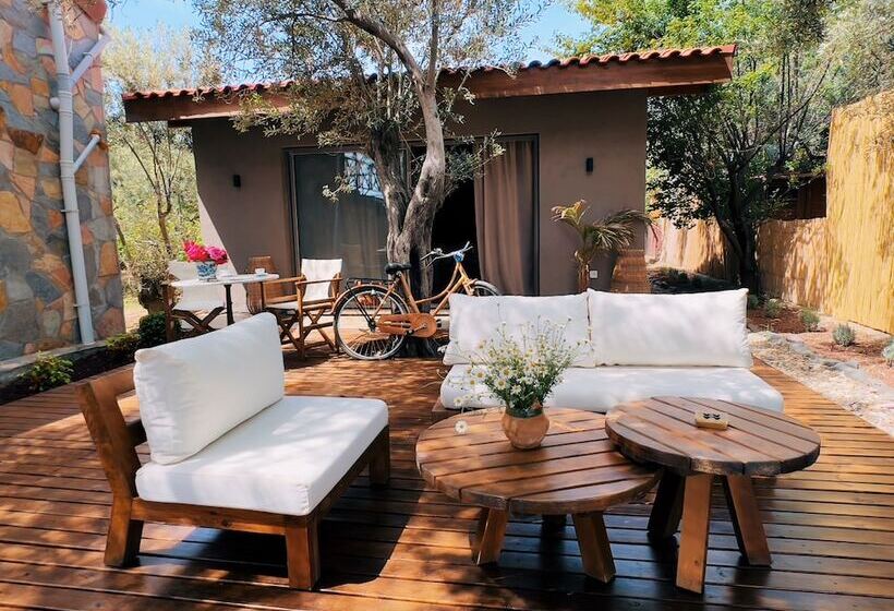 בית מלון כפרי Simurg Inn