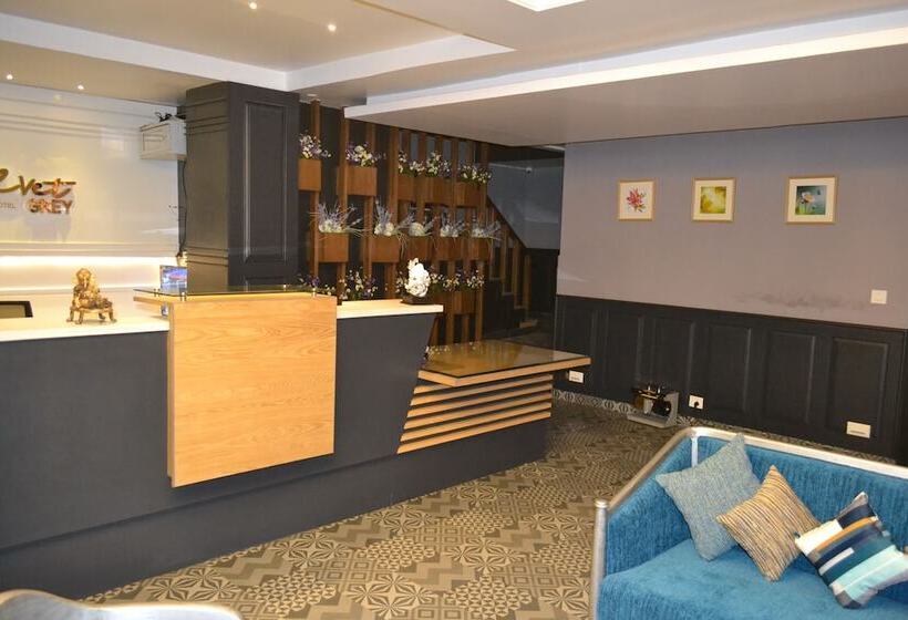 فندق Velvet Grey