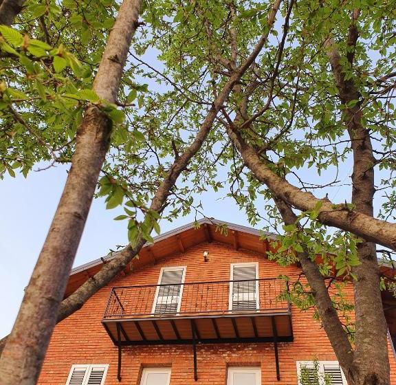 پانسیون Borealis Guest House
