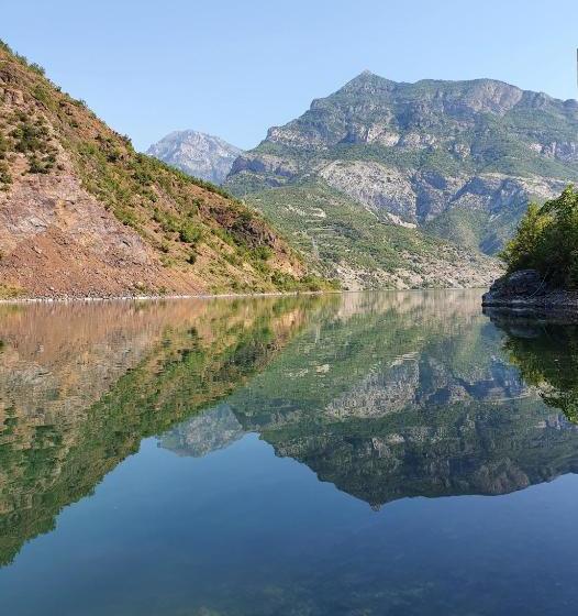 Пансион Borealis Guest House