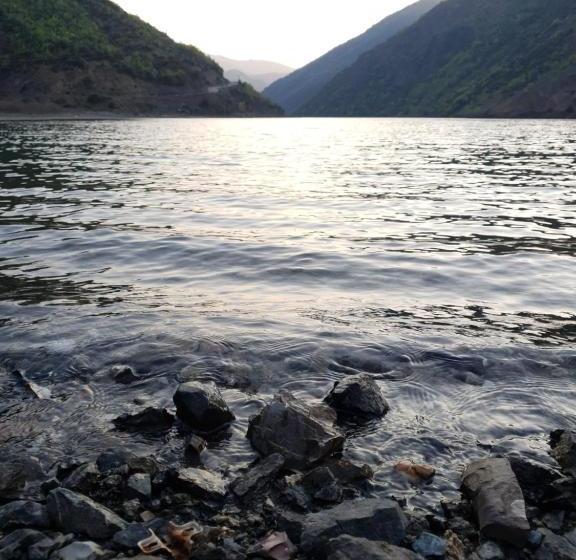 Пансион Borealis Guest House