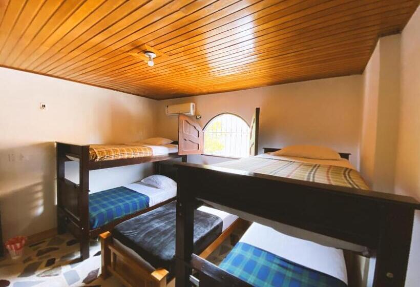 ペンション Tia Chela Hostel