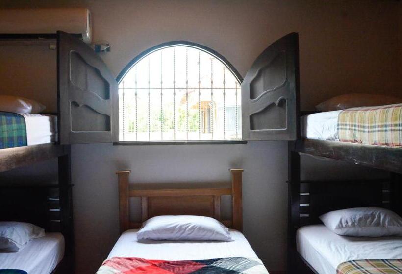 ペンション Tia Chela Hostel